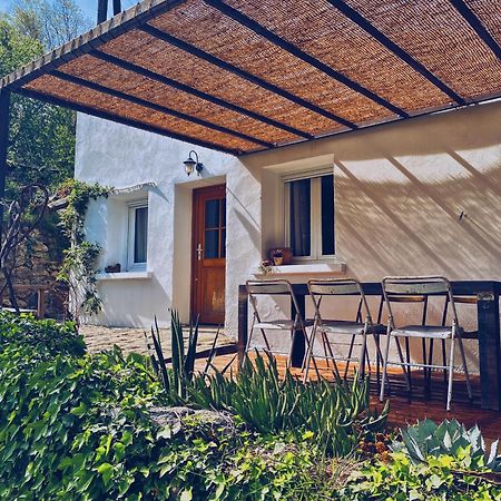 La Maison De Juliette Céret Dış mekan fotoğraf