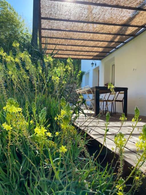 La Maison De Juliette Céret Dış mekan fotoğraf